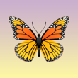 Lemotionz