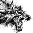 Wild_FOX