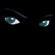 spydark91