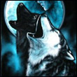 iWolf