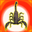ScoRpioN88