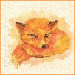 mrfoxjun
