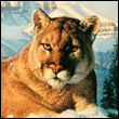 28lion2008
