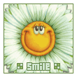 Erul