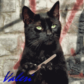 Valeri