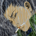Tanok__DV